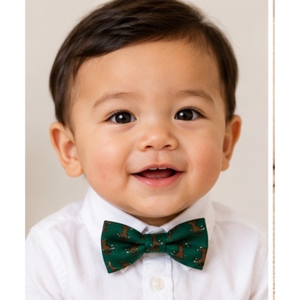Baby Boys Green Horse Print Bow Tie Adjustable 0-24 Months Holiday Wedding